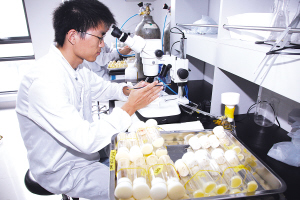 多靶点广谱型抗肿瘤1.1类新药“泽普生”进入临床试验