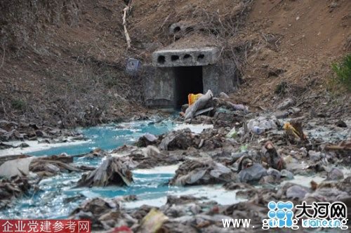 河南浚县纸厂污水排入蓄水池当地政府称无污染