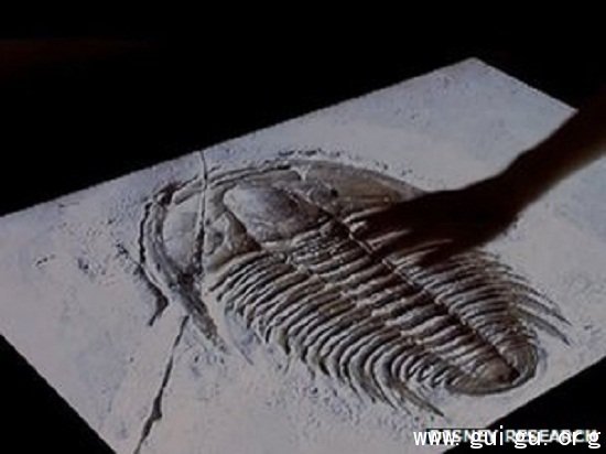 迪士尼研发新技术 触屏表面可获得真实触感