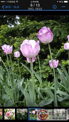 һи㶨NASԶ̷ʡȺQuickConnect