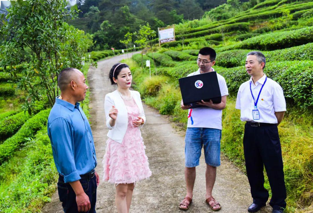 福建武夷山首秀5G云赏茶 中国电信智慧生态茶园添亮色
