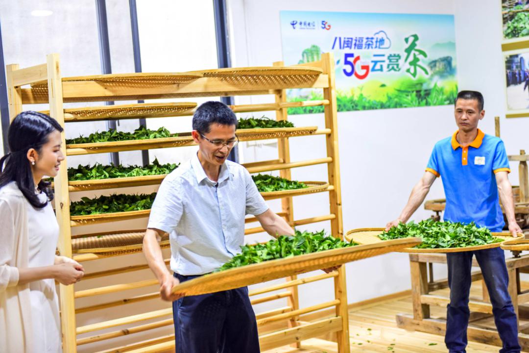 福建武夷山首秀5G云赏茶 中国电信智慧生态茶园添亮色