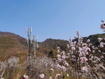 架起山村信息高速路 北京电信数字化助力乡村振兴