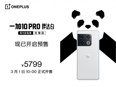 ɫع飬һ 10 Pro ִ 512GB 31տ