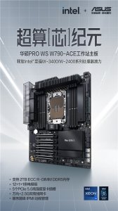 оԪ ˶PRO WS W790-ACEվ